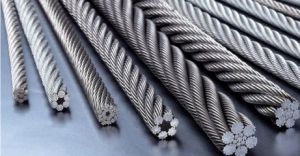 �������ؙC䓽z�K���x�Ø�(bi��o)��(zh��n)���Ďחl��