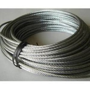 ���ؙC(j��)�����z�y��ע�����(xi��ng)