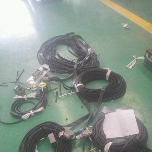 2018010252  oRDs3Tһ185