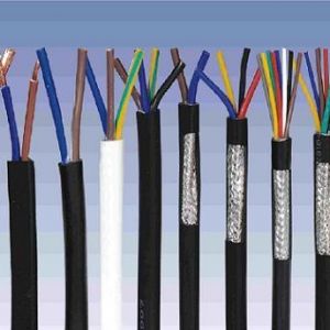 ||NеһNʲôǿ|